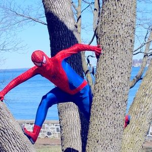 Adult Spiderman Costume Cosplay